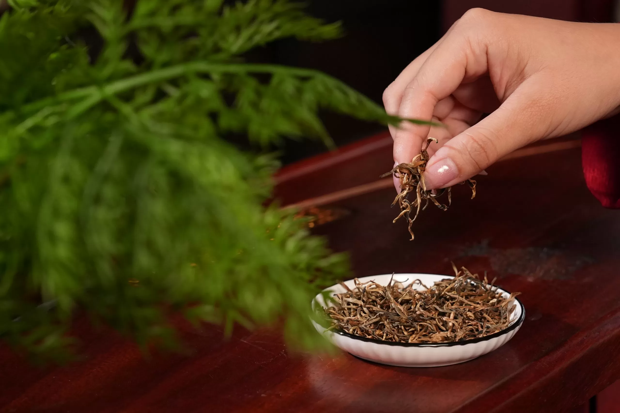 Cánh trà và sản phẩm Hồng Trà Thượng Phẩm — Dragon Tea Suối Giàng