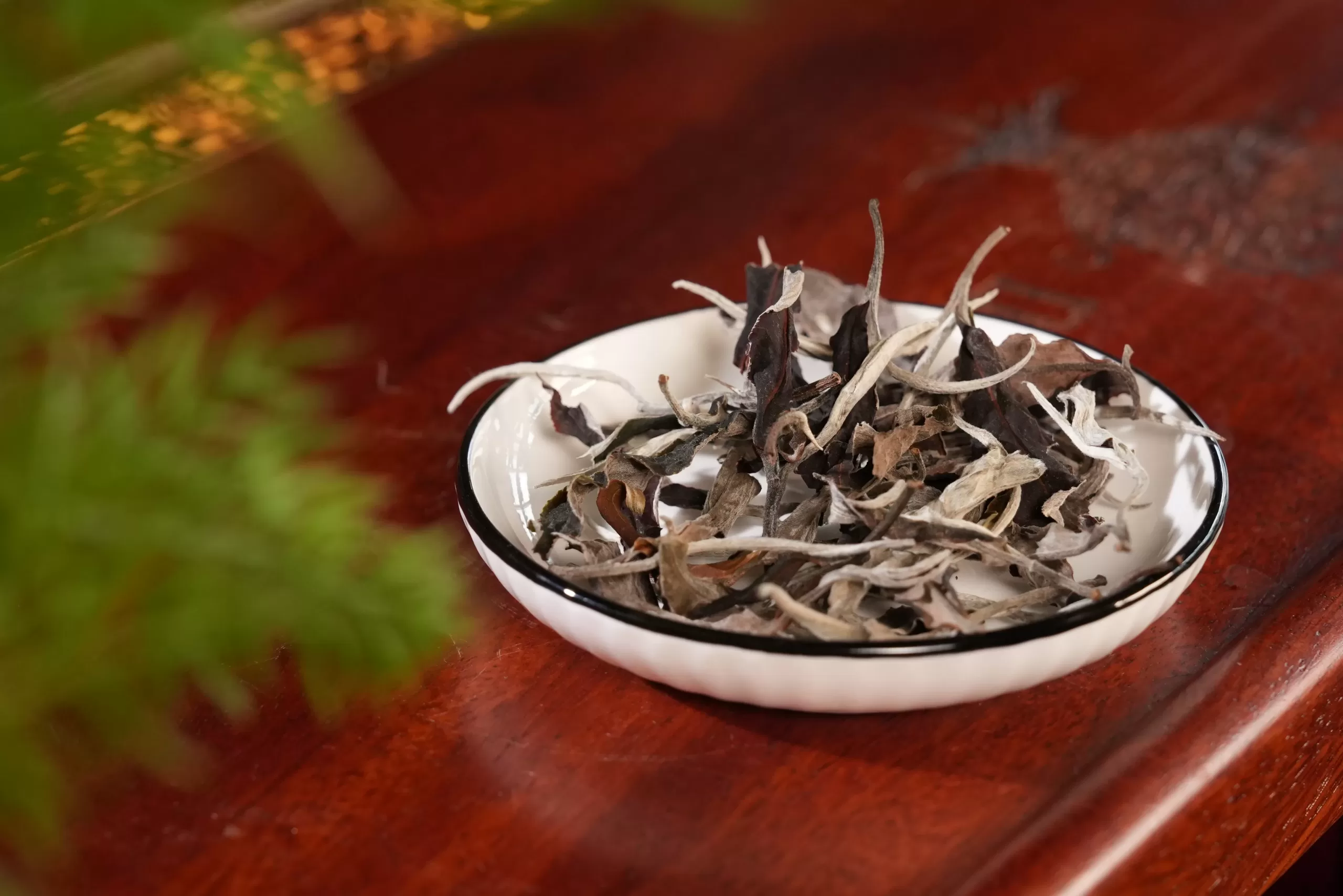 Cánh trà và sản phẩm Bạch Trà Tổng Thống — Dragon Tea Suối Giàng