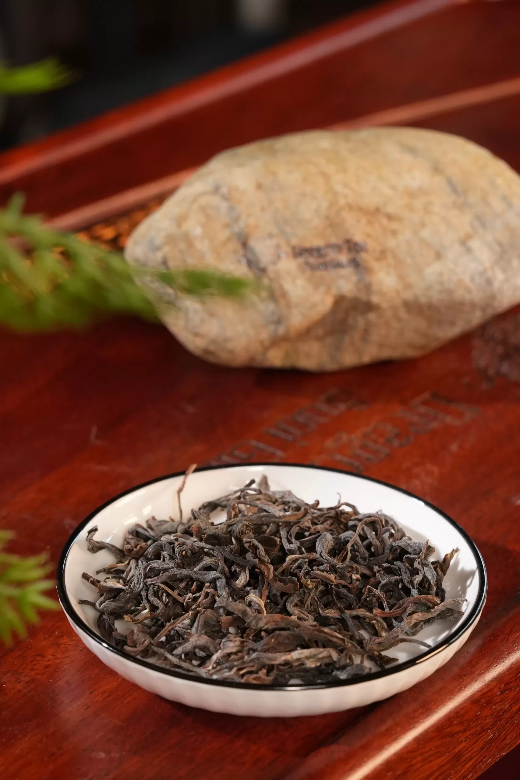 Cánh trà và sản phẩm Hoàng Trà Tổng Thống — Dragon Tea Suối Giàng