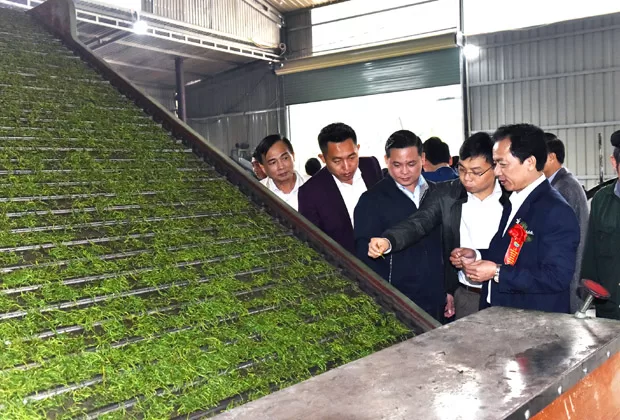 Mây Trắng Nậm Khánh